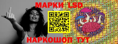 apvp Новодвинск