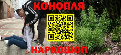 прущие грибы Нальчик