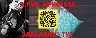 прущие грибы Нальчик
