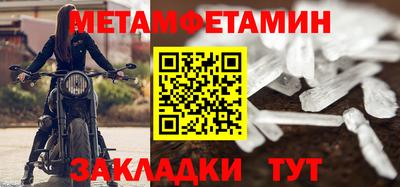 прущие грибы Нальчик