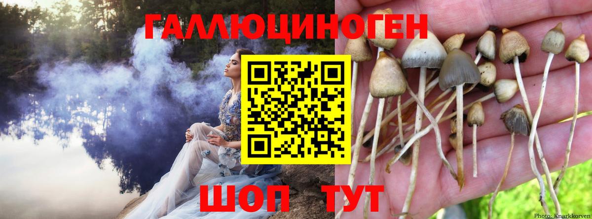 Галлюциногенные грибы MAGIC MUSHROOMS Уварово